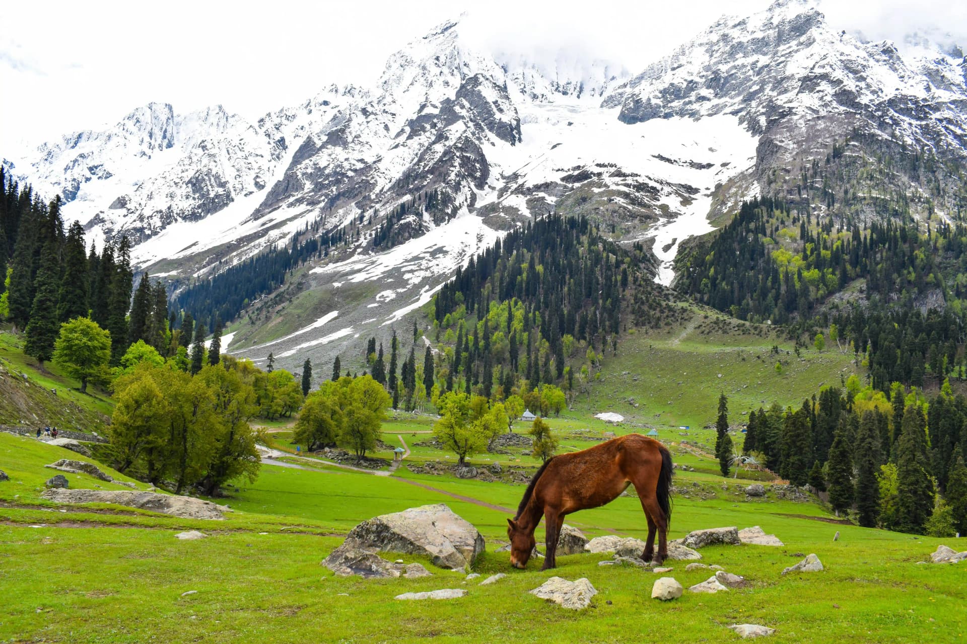 Kashmir Treks